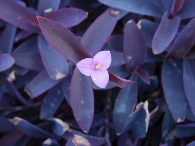 ???????????????????????????????